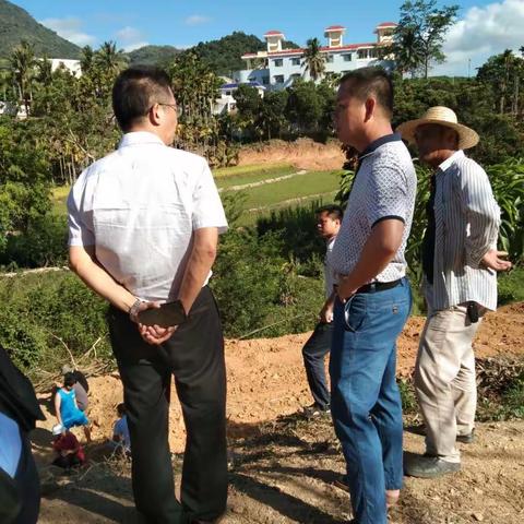 市农业农村局云俊同志带队赴育才生态区督导高标准农田建设项目