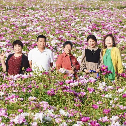 天山花海感赋