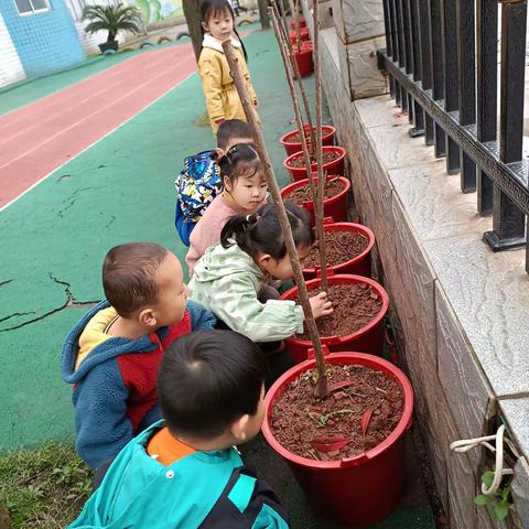 🍭️风帆生态教育机构🍭️——🌻风帆幼儿园🌻——🌸中一班🌸—— 💕我们眼中的春天，心中的种子💕