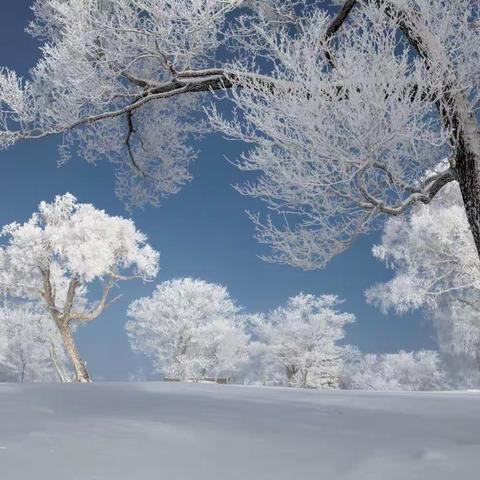 2023～2024年山东第一医科大学附属省立医院实习护士技能大赛开始啦