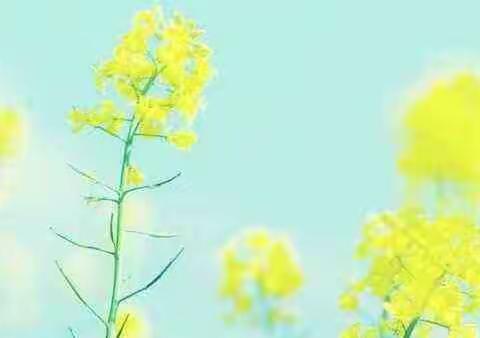 好又多生活超市生鲜低价，特惠来袭，活动时间2020年6月28日---7月4日