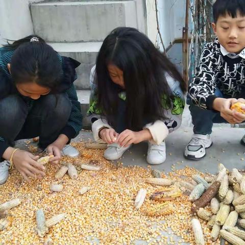 [圣华学府]重阳节——敬老爱老，孝敬父母