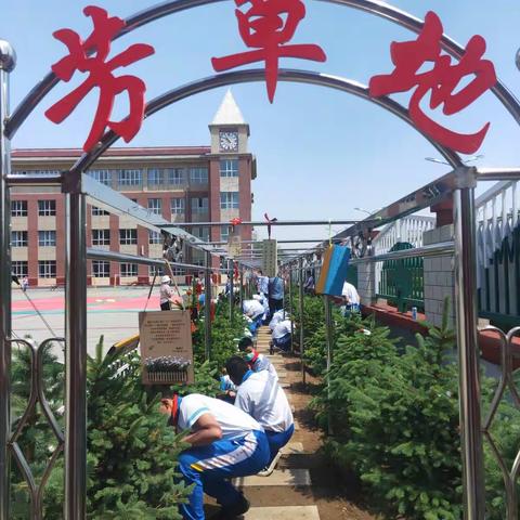 乌兰察布市集宁区永安路小学“芳草碧连天、浓浓学子情”毕业季种植活动