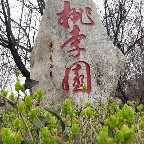 阳平二中 "桃李园"之初春美景