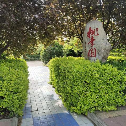 笔墨小品 ，装扮温馨寝室 之一