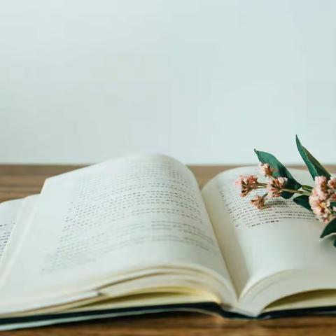 居家阅读日，好书来相伴——邯山区刘王庄小学居家阅读活动