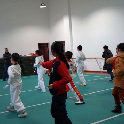 汉寿县西湖小学跆拳道社团