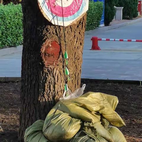 少年强则国强👍
