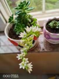 生活百滋味