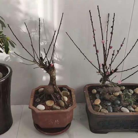 云南白药（不加微.不私聊）的美篇