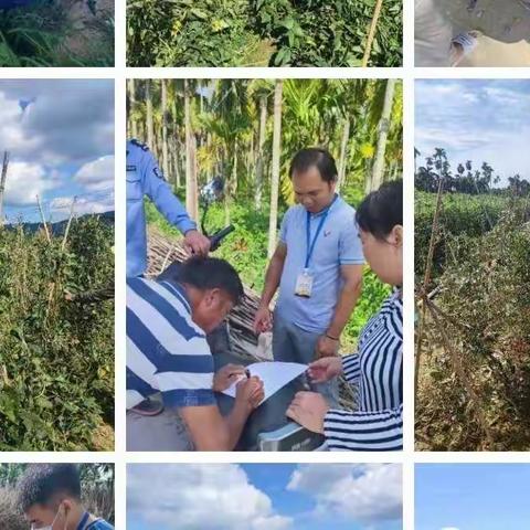 抱古村开展农业安全生产工作