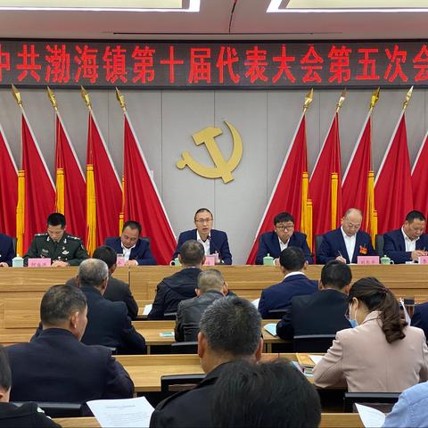 中共渤海镇召开第十届代表大会第五次会议