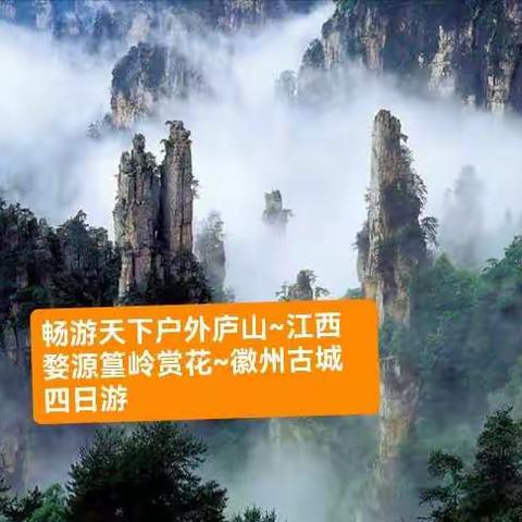 【免票薅羊毛】3月7-11日庐山~婺源篁岭油菜花~徽州古城休闲纯玩5日游