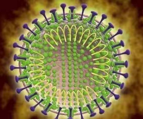 城隍镇塘肚小学预防新型冠状病毒感染肺炎的告知书
