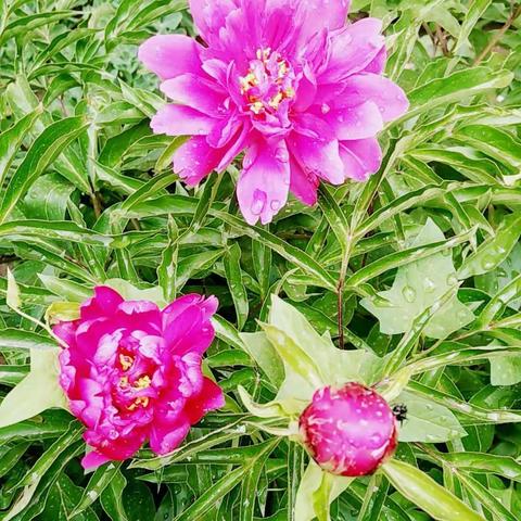 等闲识得春风面，万紫千红总是春