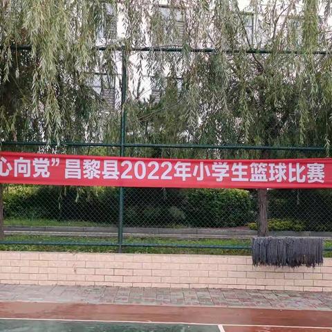 “童心向党”昌黎县2022年小学生篮球赛圆满结束