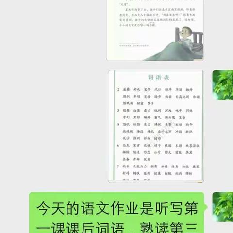 桐乡街道鲁屯小学四年级二班“停课不停学”活动