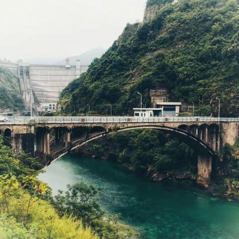 东江绿