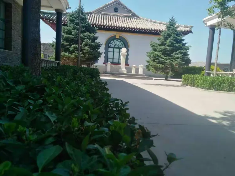 乐亭县百善学校积极开展"让森林走进校园,让校园拥抱森林"主题教育