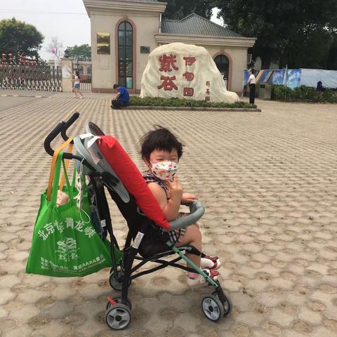 紫谷伊甸园