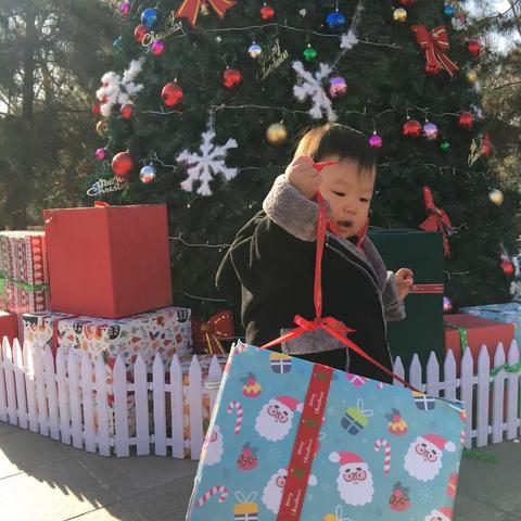 🎄 2020年的圣诞节🎄