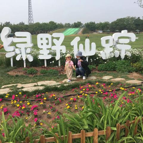 我家门口的公园－绿野仙踪