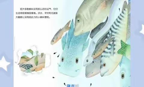 “疫”样时光，“童”样精彩大张镇中心幼儿园美慧树主题课堂“动物世界”——大班篇《青蛙和蛤蟆》