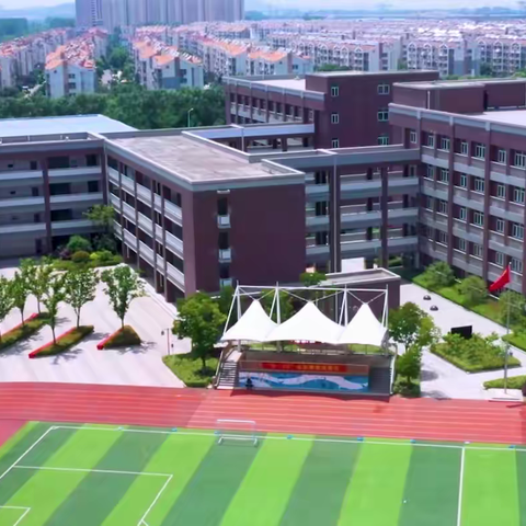 【臻美花中】百花齐放花满园