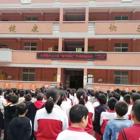 大坪镇中心小学“春华秋实”劳动实践活动