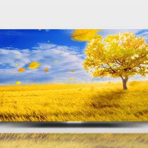 “一叶知秋”树叶贴画——兴庆区二小三①班寻找秋天活动掠影