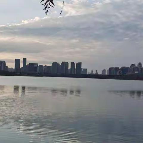 夕阳下的合肥天鹅湖美景