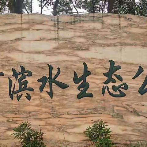 合肥四里河滨水生态公园