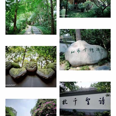 草堂，武侯祠，锦里，国宝繁殖基地——成都打卡二三日