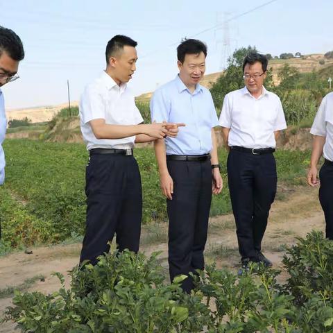 张钢到定西调研甘肃蓝天“数字化农业产业链服务平台”建设情况