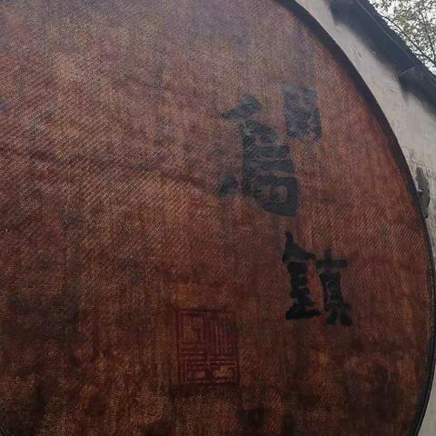 乌镇秋塘景色异