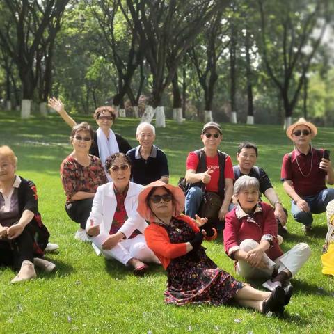 城市中的一片绿州，《中央公园游记》，手机随拍，2022年05月23日