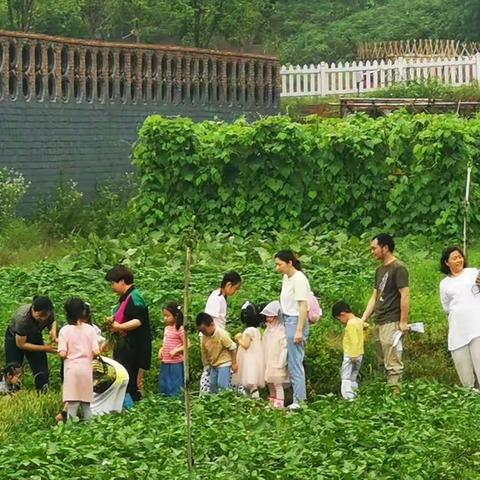 照进生命的那束光——2022年6月5日株洲市妇联稻花香—王艳读书会“耕端午，粽有情”亲子体验营活动纪实