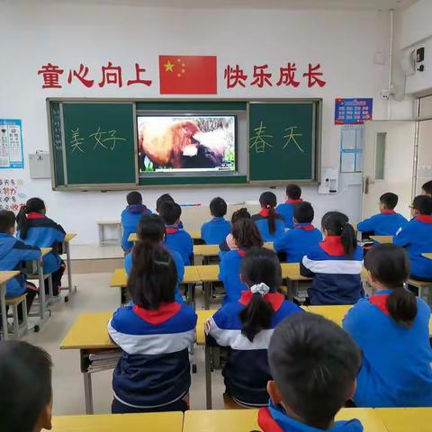 新乡县新时代学校三（2）班第五周工作简报