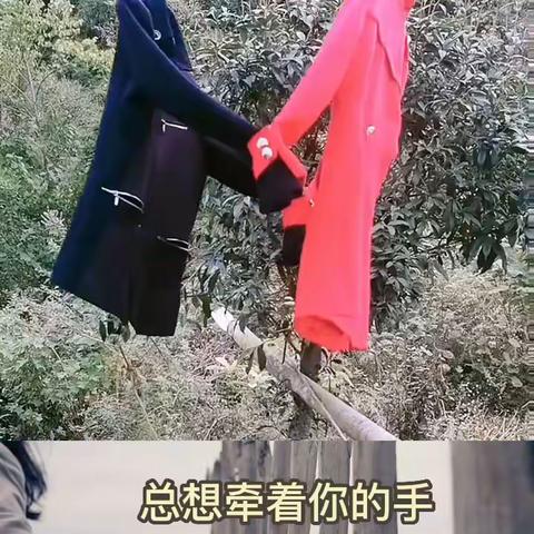 总想牵着你的手