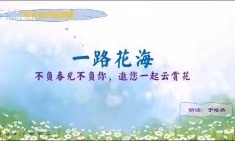 不负春光不负你，邀您一起云赏花———足不出户说济南