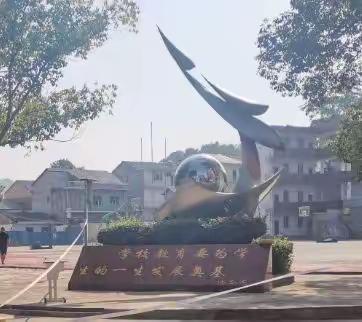 不负韶华，青春启航 | 杉木桥镇中学第二批学生返校报到