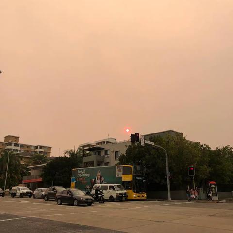 多希望2020能重新开始