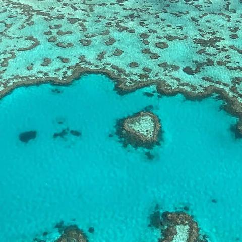 2022年7月-昆士兰大堡礁