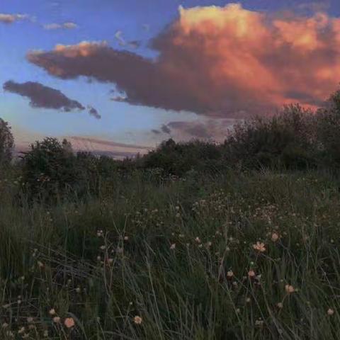 创卫关联你我他，齐抓共管靠大家