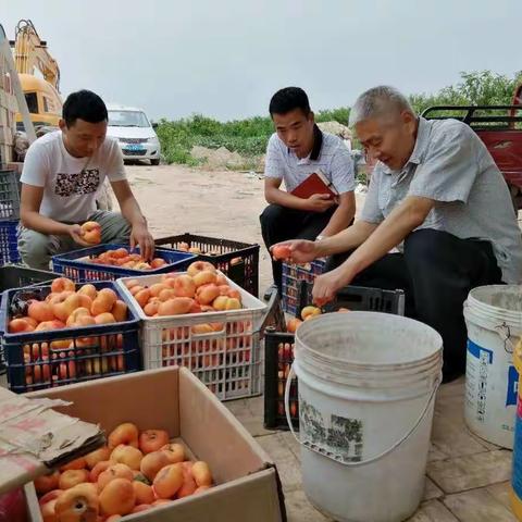 脱贫路上一劲松——贫困残疾人张劲松创业侧记