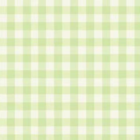 中1班逻辑高挑战赛⛽️