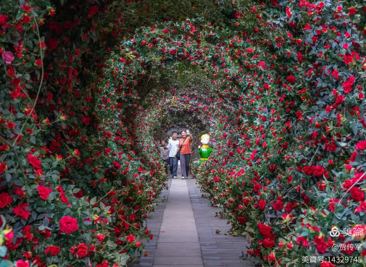 美丽运河我的家（第211集）