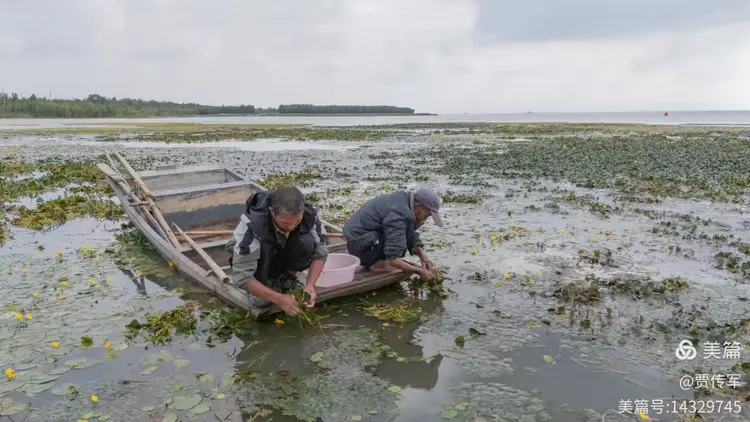 美丽运河我的家（第211集）