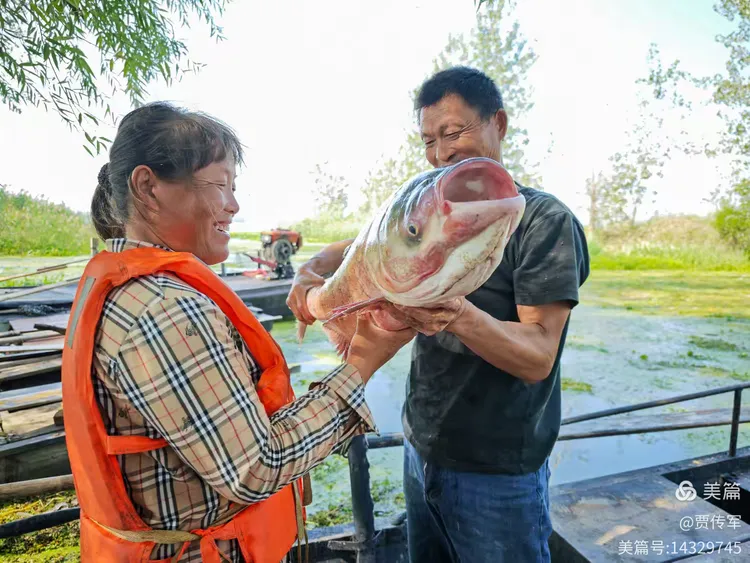 美丽运河我的家（第211集）