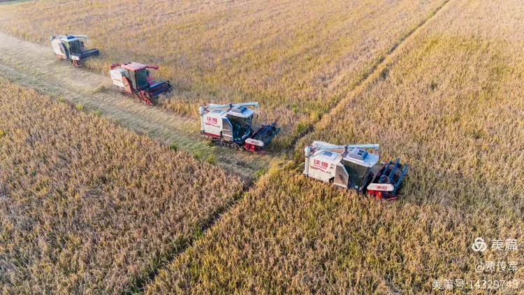 美丽运河我的家（第211集）